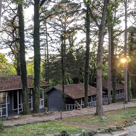 Adventure Cabin 5 - King W Private Hot Tub Βίλα Eureka Springs Εξωτερικό φωτογραφία